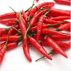 Hot pepper seeds «Chile»