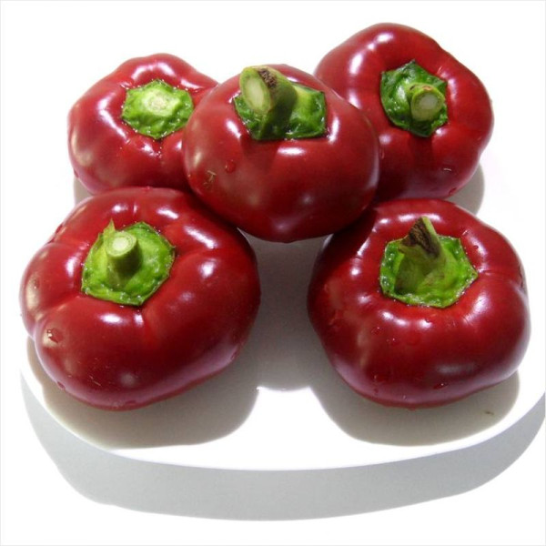 Sweet pepper seeds «Gingerbread man red»