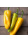 Sweet pepper seeds «Marconi Yellow»