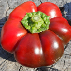 Sweet pepper seeds «Gogosar Vlad»