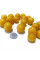 Cherry plum seeds «Gift of Kyiv»