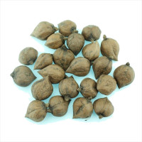 Heartnut seeds