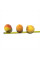 Peach seeds «Kyiv early»
