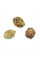 Peach seeds «Kyiv early»