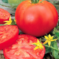 Tomato seeds «Snow Leopard»