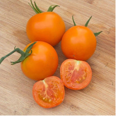 Tomato seeds «Pomeranian»