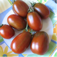 Tomato seeds «Black moor»