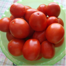 Tomato seeds «Rio Grande»