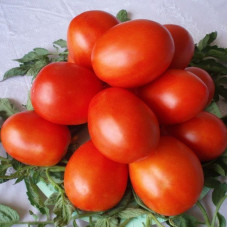 Насіння томату «Кумач»