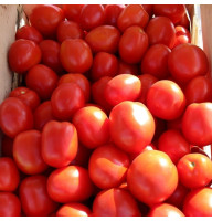 Tomato seeds «Asterix»