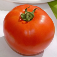 Насіння томату «Бобкат»