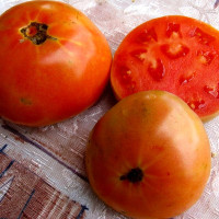 Tomato seeds «Long keeping»