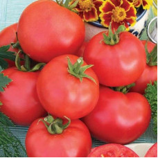 Tomato seeds «Ballad»