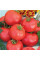 Tomato seeds «Ballad»