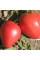 Tomato seeds «Bull heart red»