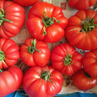 Tomato seeds «Australian»