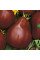 Насіння томату «Трюфель чорний»