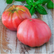 Насіння томату «Царський подарунок»