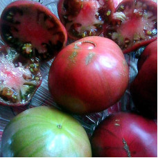 Насіння томату «Бузкове озеро»