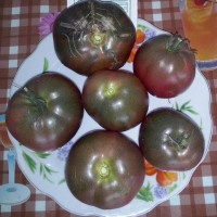 Семена томата «Черномор»