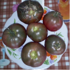 Tomato seeds «Black Sea»