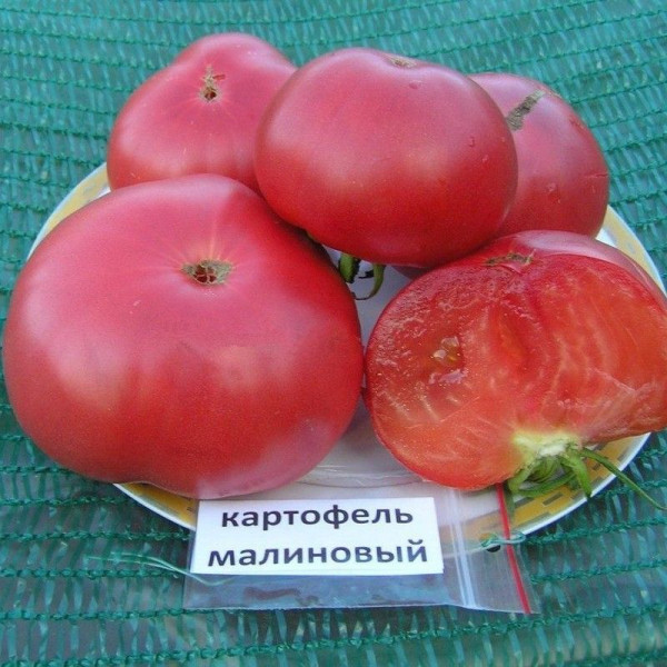 Tomato seeds «Potato raspberry»