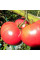 Насіння томату «Рожевий гігант»