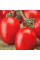 Насіння томату «Маруся»