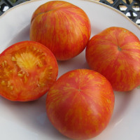 Семена томата «Королевская красота»