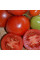 Tomato seeds «Oak tree»