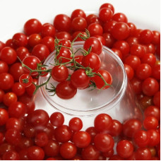 Tomato seeds «Sweet red currant»