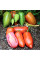 Tomato seeds «Roman striped»