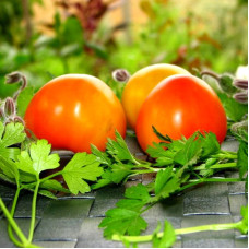 Tomato seeds «Pineapple Fog»