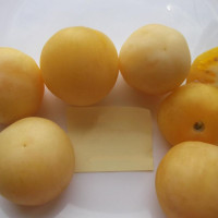 Семена томата «Призрак»