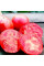 Tomato seeds «Zinulya»