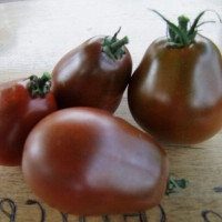 Tomato seeds «Black pear»