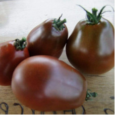 Tomato seeds «Black pear»