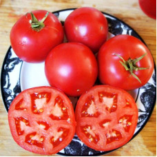 Насіння томату «Ранній Детройт»