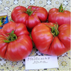 Tomato seeds «Bear paw red»