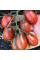 Tomato seeds «Chocolate bunny»