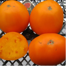 Насіння томату «Суниця німецька жовта»