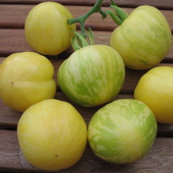 Tomato seeds «Dean's white tiger»