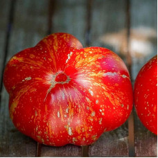 Tomato seeds «Cascade lava»