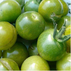 Tomato seeds «German cherry»