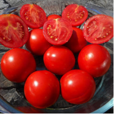 Tomato seeds «Fruitful Gusev»