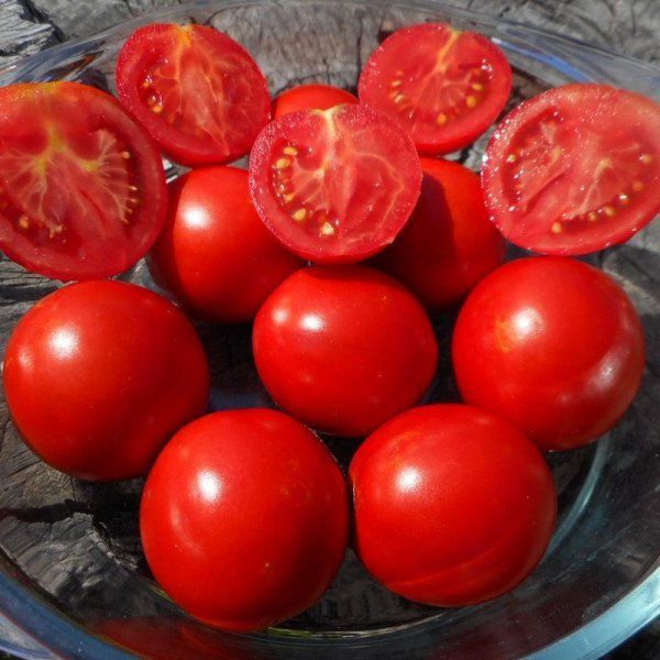 Tomato seeds «Fruitful Gusev»