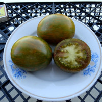 Насіння томату «Смугасті студенти»