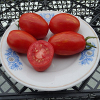 Tomato seeds «Tonnelet»