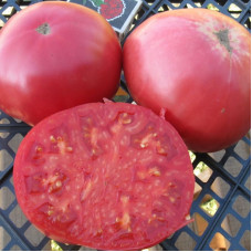 Насіння томату «Суниця німецька рожева»