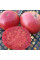 Насіння томату «Суниця німецька рожева»